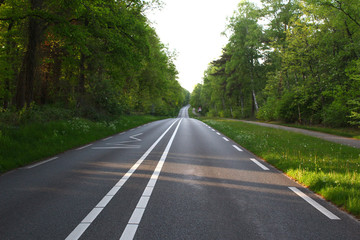 Empty rural road with clear white lines in a wooded area, at the right a path for bicycles
