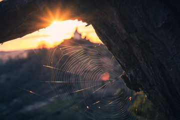 Spinnennetz im Sonnenuntergang