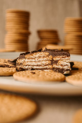Close up view of delicious biscuit and chocolate cake. Homemade cake on biscuit background.	