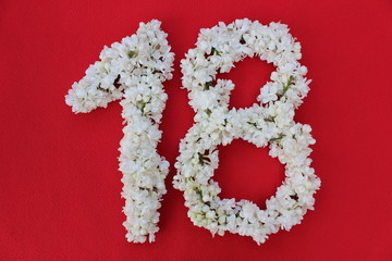 The number 18 is written in white lilac flowers on a red background. The number eighteen is written in fresh flowers, isolated on red. Arabic numeral lined with flowers.