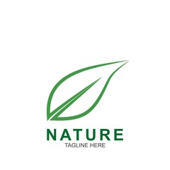 Leaf design logo Template