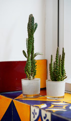 Two cactus plants on the window sill, colorful Mexican tiles. 