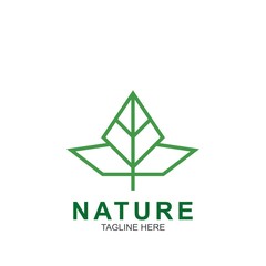 Leaf design logo Template