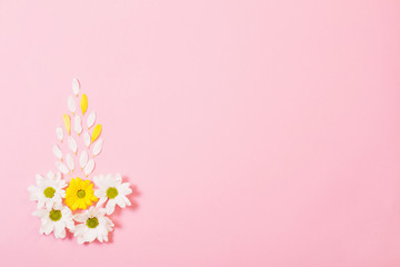 Fototapeta na wymiar white and yellow chrysanthemum on pink paper background