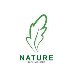 Leaf design logo Template