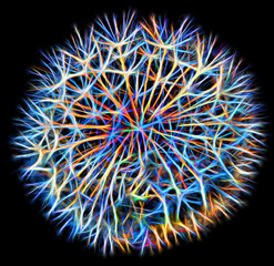 Colorful close up shot of a Dandelion head in abstract form