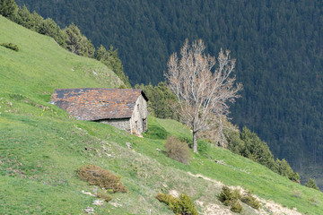 Fototapeta na wymiar Old House in Montaup river in Canillo, Andorra in spring.