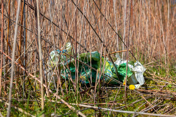Plastic waste on a covered landfill in northwest Germany with coltsfoot