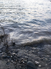 Dangerous rubbish on a stony beach. Photo showing pollution problem. Dangerous garbage ejected from the sea on remote beaches.