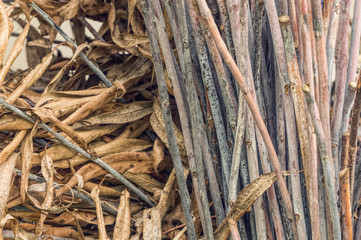 Fallen dry stale leaves. Autumn faded background	