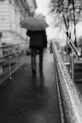 people walking in the city