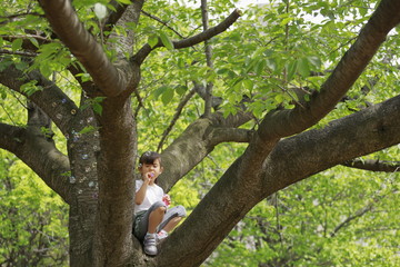 木の上でシャボン玉で遊ぶ幼児(5歳児)