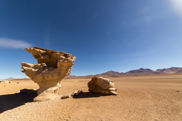 Fototapeta na wymiar Panoramic view of arbol de piedra (stone tree), in Bolivia