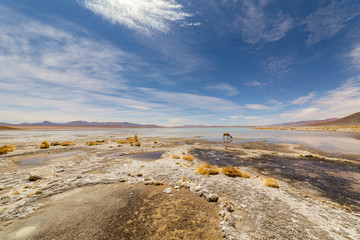 Laguna Chalviri, at Aguas Termales Chalviri, in southern Bolivia