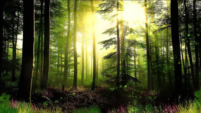 Sun rays over the enchanted deep forest.