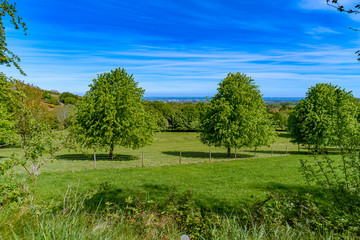 Spring in Dublin mountains