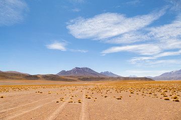 Panoramic view of  Siloli Desert, in Bolivia