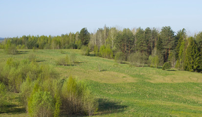 Obraz premium Beautiful view from above to the young forest. Spring