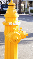 Photo of a yellow fire hydrant.