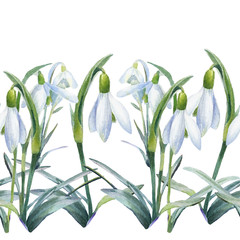 Spring background, watercolor seamless pattern of snowdrops.