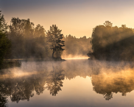 Fototapeta Mglisty wschód słońca