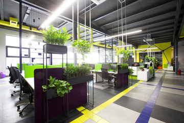 Empty workplaces in modern office with plants, rental office