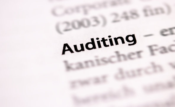 Audit, Auditing