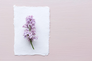 Composition with a twig of blossoming lilac and blank card on pink colour background. Greeting card and Mothers Day card concept.