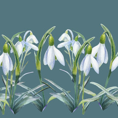 Spring background, watercolor seamless pattern of snowdrops.