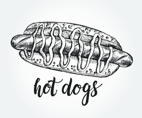 Ink hand drawn Delicious hot dog.  Fast Food elements for menu or signboard design. Vector illustration with brush calligraphy style lettering.