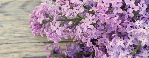 A branch of blooming lilac flowers on a wood background.Concept Hello spring.