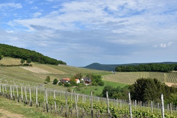 Scenic rural landscape with vineyards in the Ahr valley, Germany