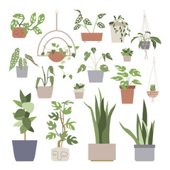 Fototapeta na wymiar Big set with house plants in flower pots. Home gardening. Hand drawn vector illustration in flat cartoon style. Perfect for poster, sticker, print, card. 
