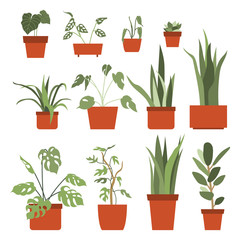 Fototapeta na wymiar Big set with house plants in flower pots. Urban jungle, home gardening. Hand drawn vector illustration in flat cartoon style. Perfect for poster, sticker, print, card