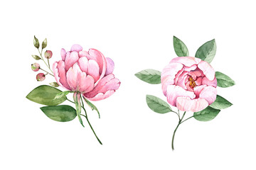set of bouquets with pink flowers, watercolor illustration on a white background

