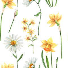 delicate pattern with spring meadow flowers on a white background, watercolor illustration