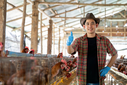 Farmers are smiling, happy by collecting many fresh eggs, Which is a product from the hens in the farm, to chicken farm concept.