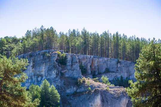 Paisaje en el ca&ntilde;&oacute;n del R&iacute;o Lobos, en Soria, Espa&ntilde;a. Barranco cubierto por un bosque de pinos