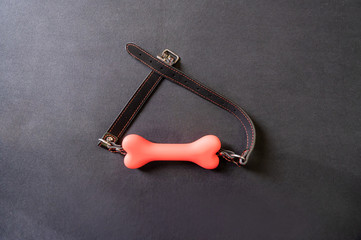 Bone-shaped gag. BDSM concept. Role-playing games for adults. Domination and obedience.