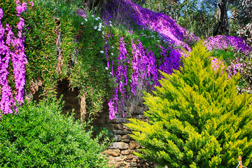 Obraz premium Beautiful hillside decorated with blooming trees near the House of the Virgin Mary (Meryemana), believed to be the last residence of Mary, mother of Jesus. Ephesus, Turkey. Spring