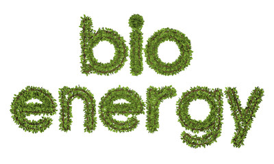 Obraz na płótnie Canvas 3D bio energy text on white background. Leaf style text.