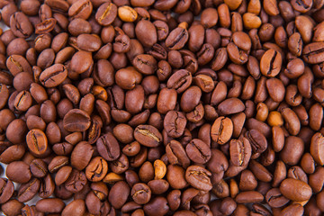 roasted coffee beans on a white background