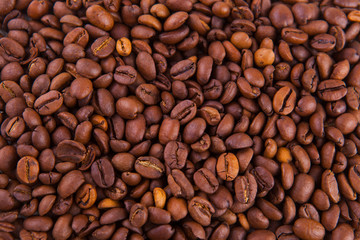 roasted coffee beans on a white background
