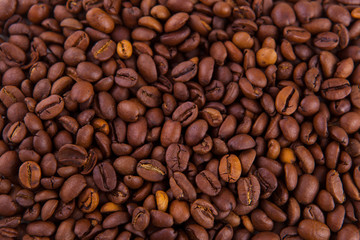 roasted coffee beans on a white background