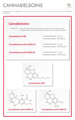 Cannabielsoin CBE with Structural Formulas in Cannabis vertical business infographic illustration about cannabis as herbal alternative medicine and chemical therapy, healthcare and medical vector.