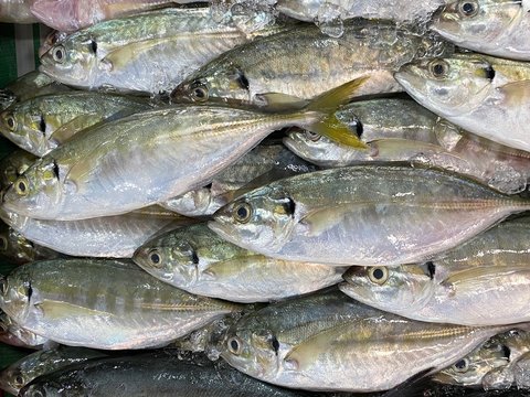 Fresh Yellowtail Scad fish on wet market. Image contains grain and noise due to high ISO. Image woth selective focus