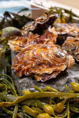Fresh zeeuwse creuse pacific or japanese oysters molluscs on fish market in Netherlands