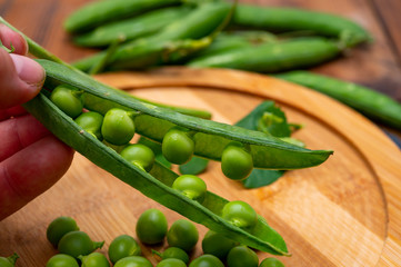 New harvest of ripe green peas legumes