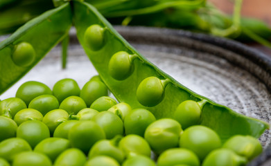 New harvest of ripe green peas legumes