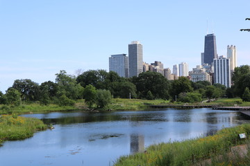 Fototapeta na wymiar central park in chicago